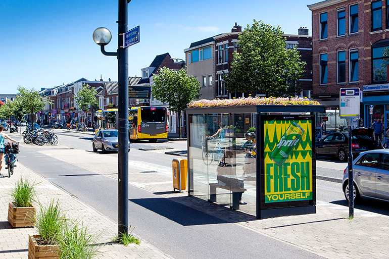 Over 300 Bus Stops in Utrecht Were Converted into Bee Sanctuaries to Stop Bee Extinction
