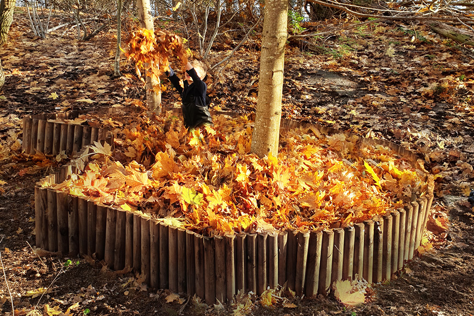 Swedish Architects Created Series of Leaf Pools to Enjoy Autumn Leaves
